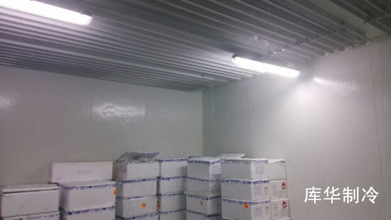 達緣供應鏈冷庫 達緣供應鏈冷庫